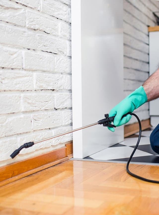 Pest control services